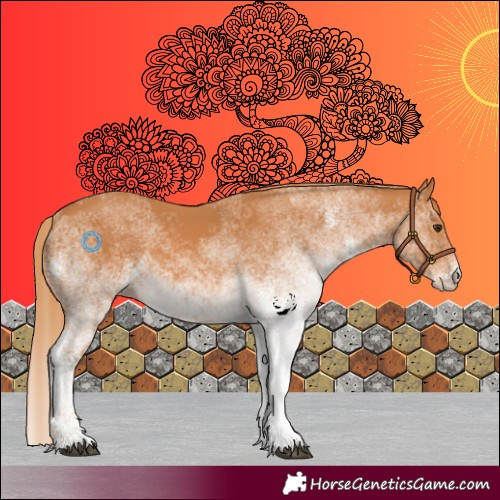Horse Color:White Spotted Chestnut