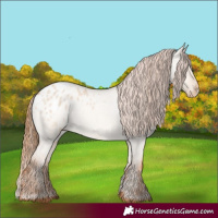 Horse Color:Red Dun Roan Varnish 