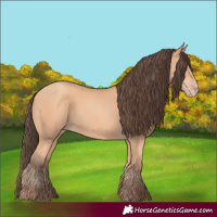 Horse Color:Amber Champagne Rabicano 