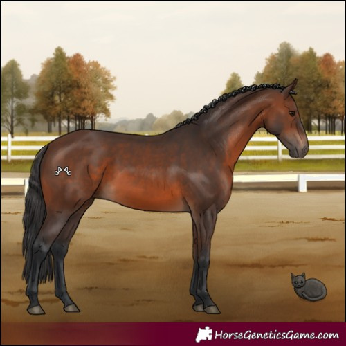 Horse Color:Brown 