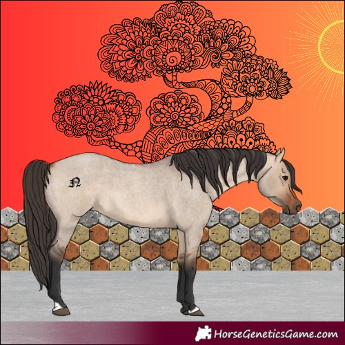 Horse Color:Bay Roan Dun 