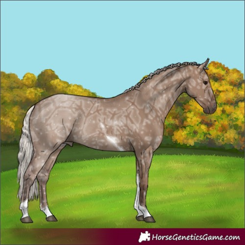 Horse Color:Silver Grullo Ice Tobiano 