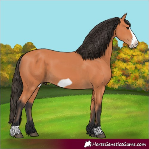 Horse Color:Bay Frame