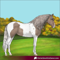 Horse Color:Chocolate Silver Grullo Tobiano 