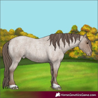 Horse Color:Classic Champagne Roan Varnish 