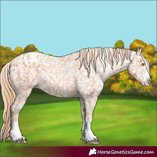 Horse Color:White Spotted Gold Champagne Snowflake Varnish 