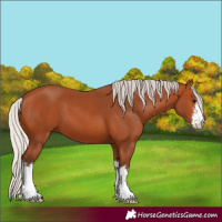 Horse Color:White Spotted Silver Bay