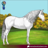 Horse Color:Buckskin Dun Sabino 