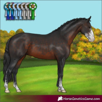 Horse Color:Brown Mushroom Sabino