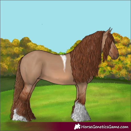 Horse Color:Red Dun Tobiano 