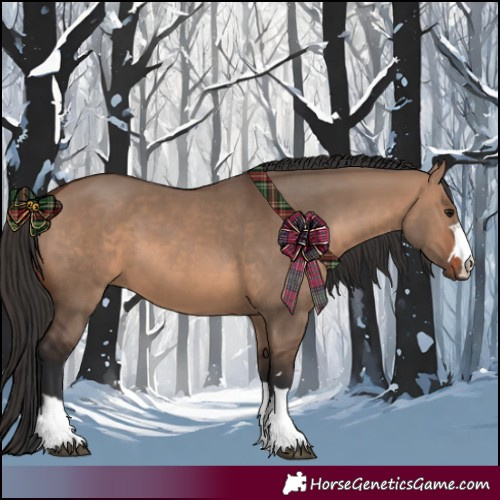 Horse Color:Brown Dun 