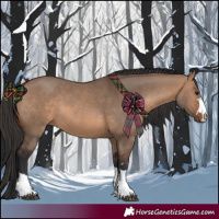 Horse Color:Brown Dun 