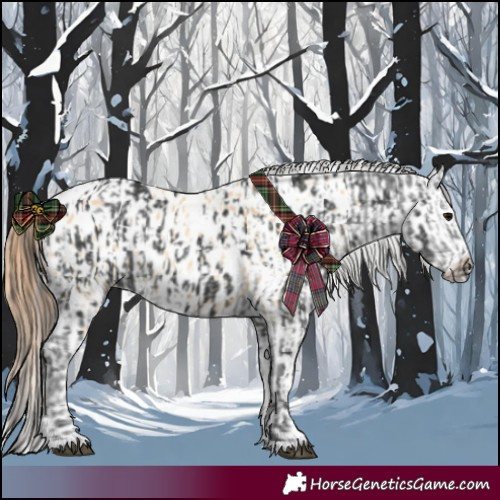 Horse Color:Black Near Leopard  and Red Dun Near Leopard 