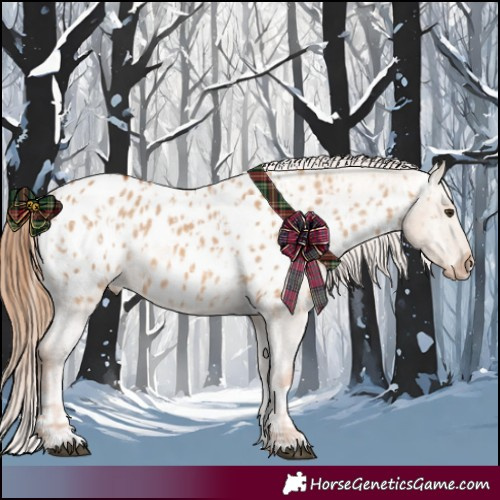 Horse Color:Red Dun Appaloosa  and Red Dun Appaloosa 