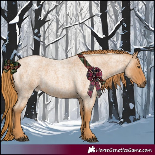 Horse Color:Red Roan 