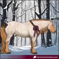 Horse Color:Red Roan 