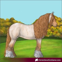 Horse Color:Red Roan Tobiano 