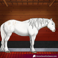 Horse Color:Cremello Dun Varnish 