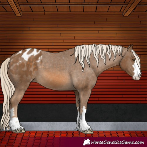 Horse Color:Chocolate Palomino Varnish