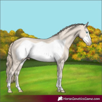 Horse Color:Smoky Creme Frame 