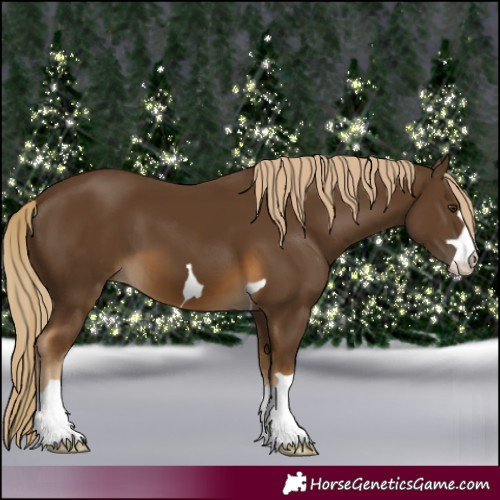 Horse Color:Chocolate Palomino 