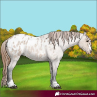 Horse Color:Bay Roan Dun Blanket 