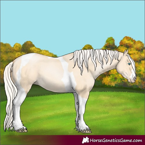 Horse Color:Silver Buckskin Pearl Dun Tobiano 