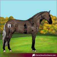 Horse Color:Void Silver Brown Dun Sabino 