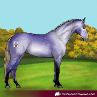 Horse Color:Gray Painted Watercolor Black Sabino Tobiano
