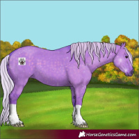 Horse Color:Watercolor Silver Grullo