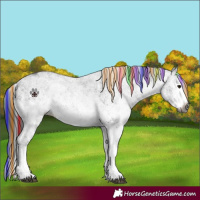 Horse Color:Gray Painted White Spotted Black Splash 