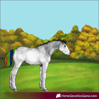 Horse Color:Gray Painted White Spotted Black 