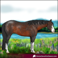 Horse Color:Brown 