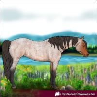 Horse Color:Bay Roan 