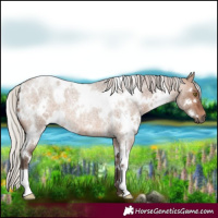 Horse Color:White Spotted Silver Brown Roan Dun 