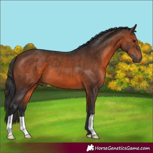 Horse Color:Brown 