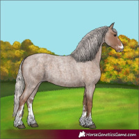 Horse Color:Silver Blue Roan Sabino 