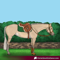 Horse Color:Silver Buckskin Dun 