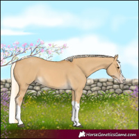 Horse Color:Palomino Dun Splash