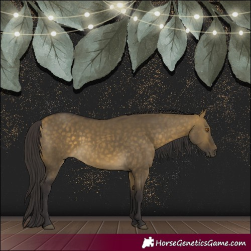 Horse Color:Buckskin Dun 
