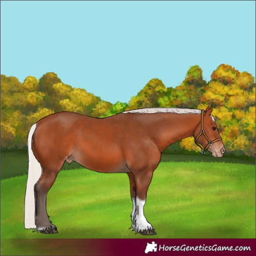 Horse Color:Silver Bay Tobiano Varnish 