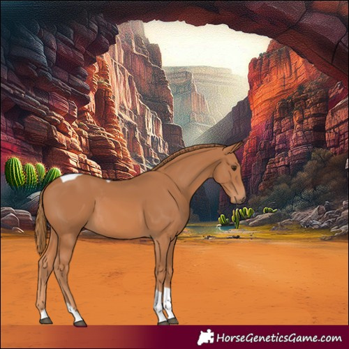 Horse Color:Chestnut Tobiano 