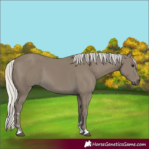 Horse Color:Silver Smoky Black 