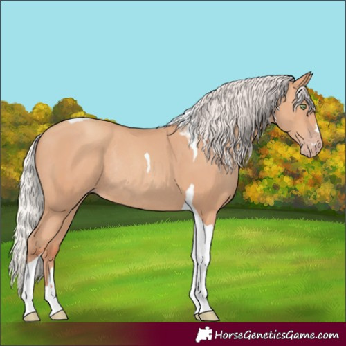 Horse Color:Silver Amber Champagne Tobiano Rabicano 