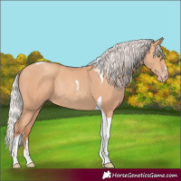 Horse Color:Silver Amber Champagne Tobiano Rabicano 