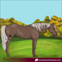 Horse Color:Silver Black 