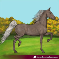 Horse Color:Silver Black 