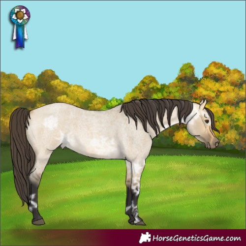 Horse Color:Buckskin Ice Roan Dun Rabicano 