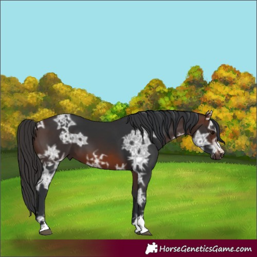 Horse Color:Brown Ice 