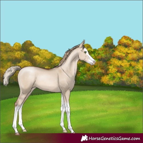 Horse Color:White Spotted Liver Red Dun Pearl Splash 